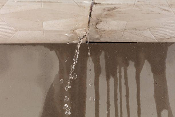 Professional Burst Pipe Cleanup technician working in Darden, TN